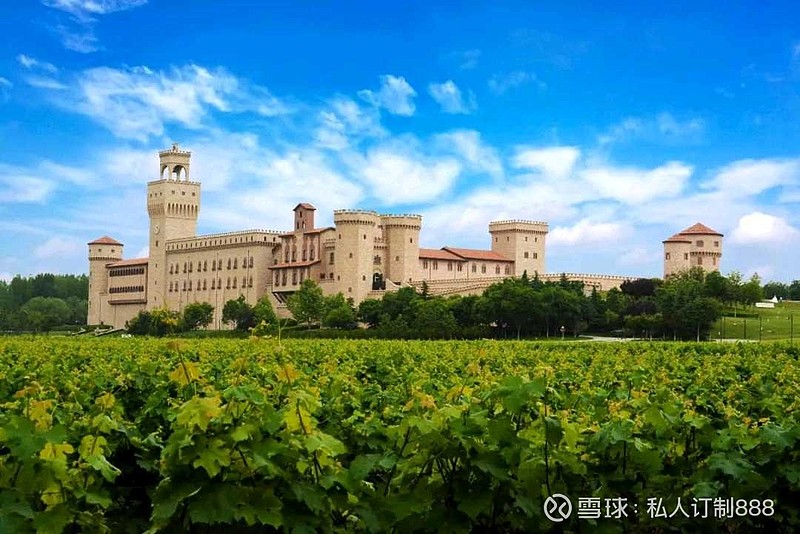 包含全明星赛赛程吃紧，上海海港今晨再遭质疑，质疑声仍在，心理建设被强调的词条开云